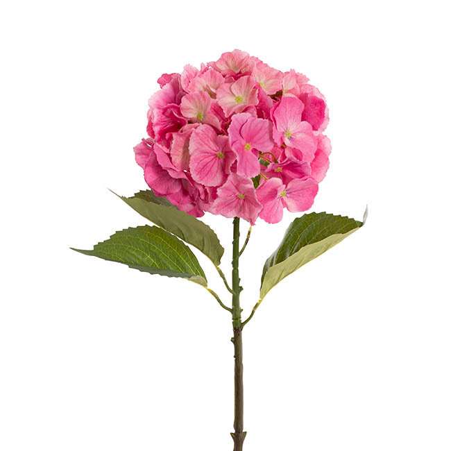 Eldorado Hydrangea Stem Ruby Pink (18cmDx64cmH)