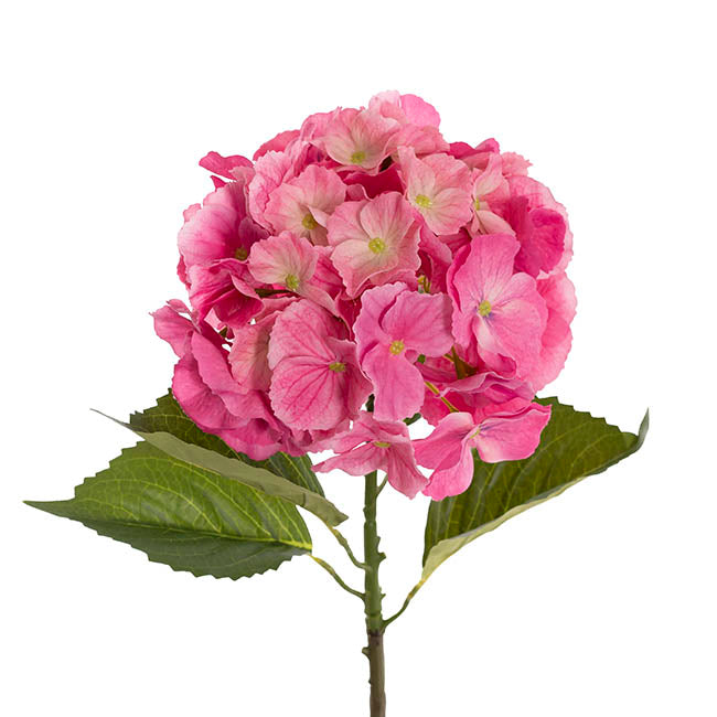 Eldorado Hydrangea Stem Ruby Pink (18cmDx64cmH)