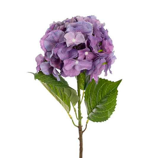 Eldorado Hydrangea Stem Violet Purple (18cmDx64cmH)