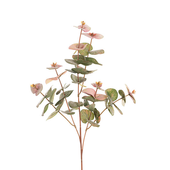 Eucalyptus Autumn Spray Green (67cmH)