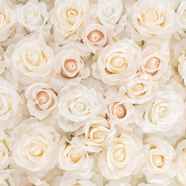 Rose Flower Wall White (50cmx50cm)