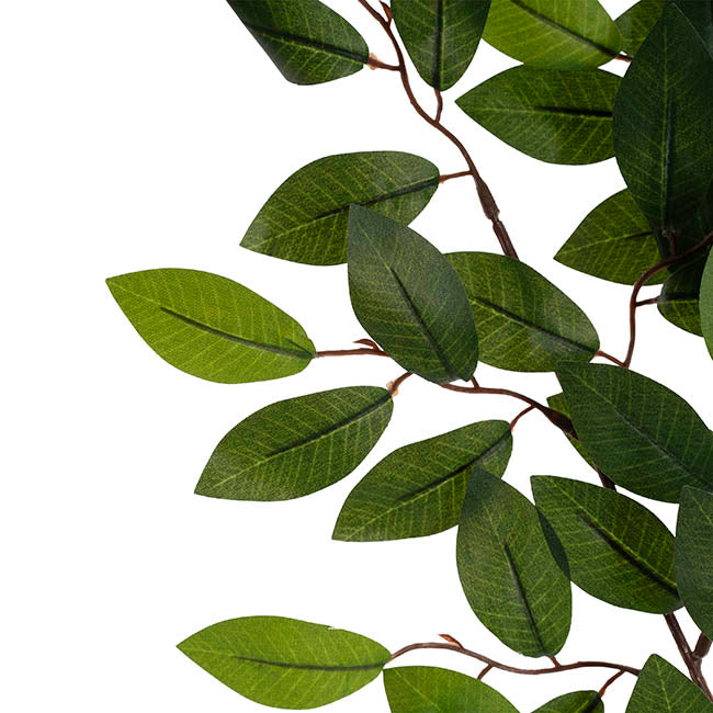 Camellia Leaf Spray 80 Leaves Green (65cmH)
