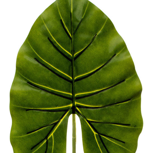 Canna Leaf Pick  Dark Green (55cmH)