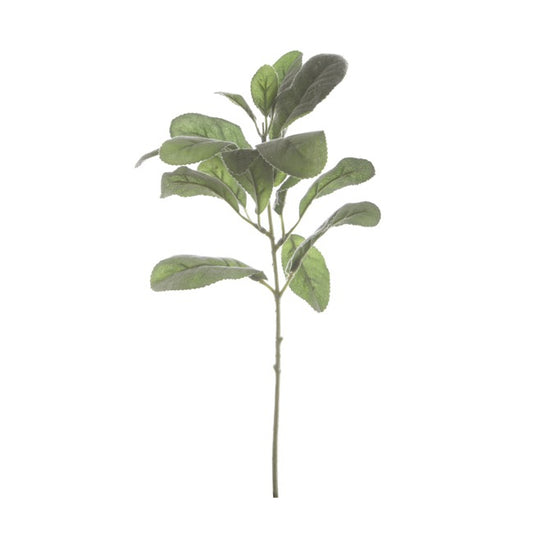 Lambs Ear Spray Grey (34cmH)