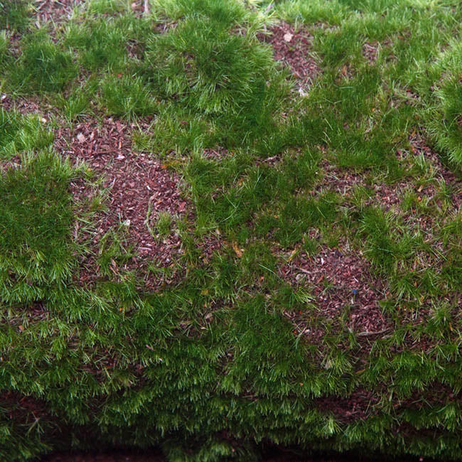 Artificial Moss Mat Roll Green (30cmx150cmL)
