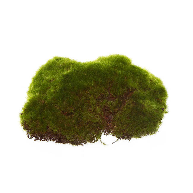 Artificial Large Moss Pads Pack 6 Green (14cmD)