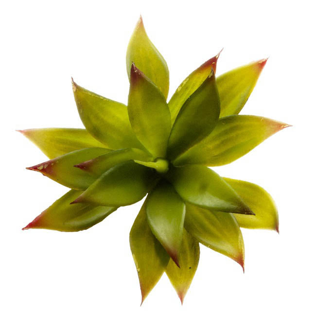 Artificial Succulent Mini Agave Green (14cmDx18cmH)