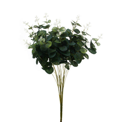 Eucalyptus Leaf Bush (50cmH)