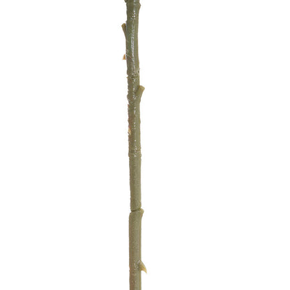 Large Colombian Rose Stem Soft Blue (20cmDx86cmH)