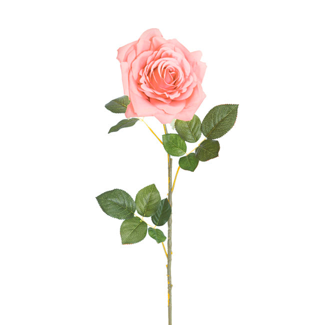 Large Colombian Rose Stem Pale Pink (20cmDx86cmH)