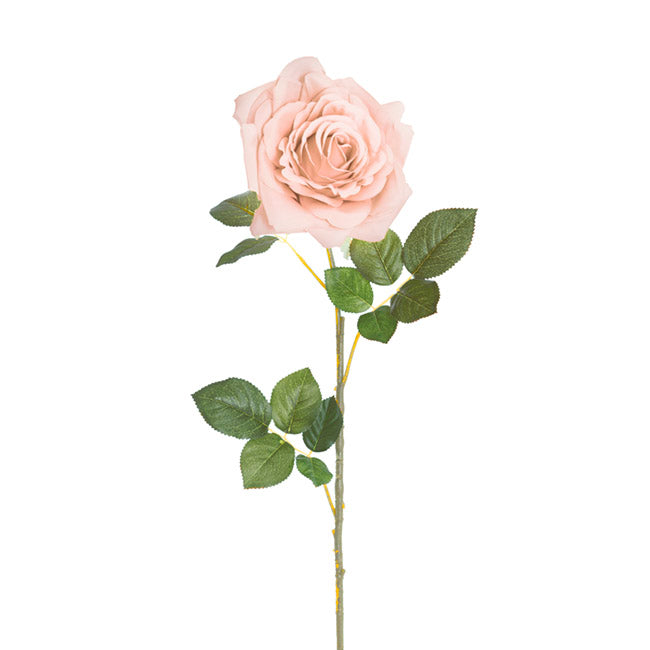 Large Colombian Rose Stem Nude (20cmDx86cmH)