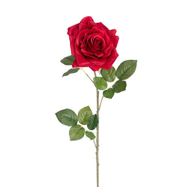 Large Colombian Rose Stem Red (20cmDx86cmH)