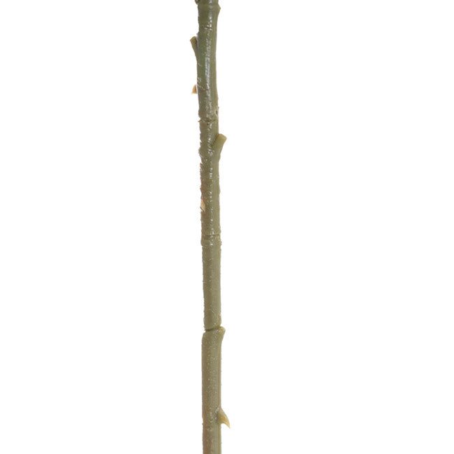 Large Colombian Rose Stem White (20cmDx86cmH)