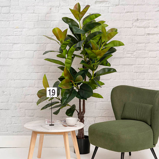 Real Touch Rubber Tree Green (175cmH)