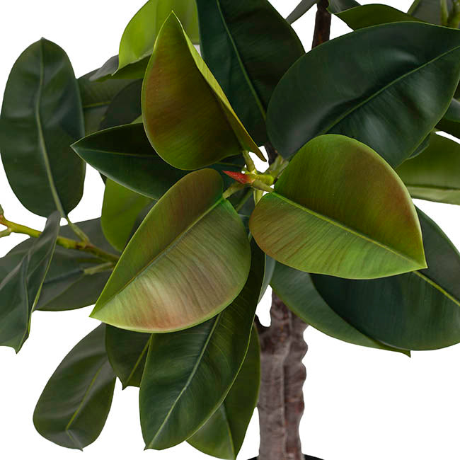 Real Touch Rubber Tree Green (175cmH)