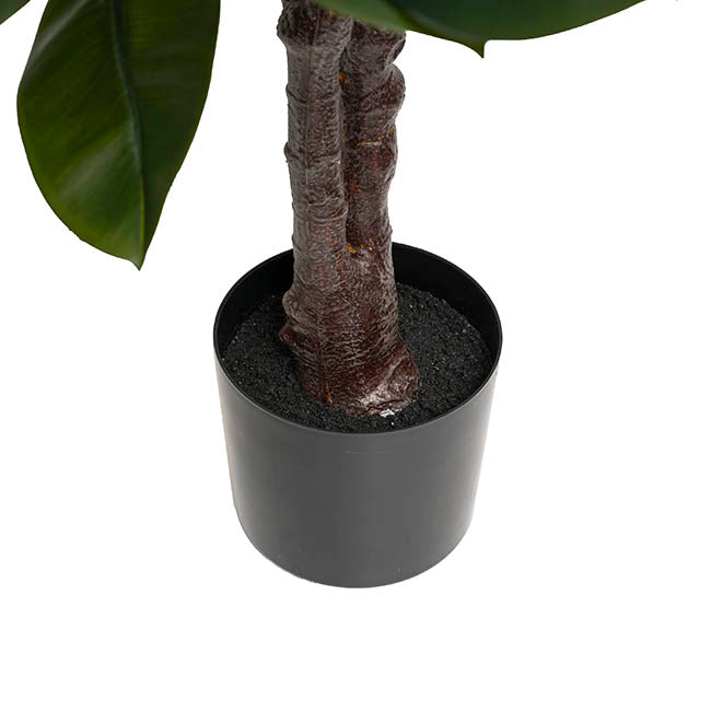Real Touch Rubber Tree Green (175cmH)
