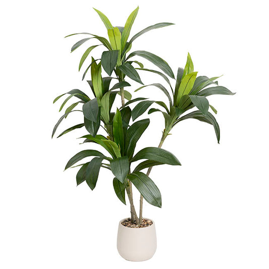Faux Real Touch Dracaena in White Pot Green (120cmH)