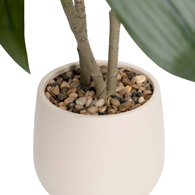 Faux Real Touch Dracaena in White Pot Green (120cmH)