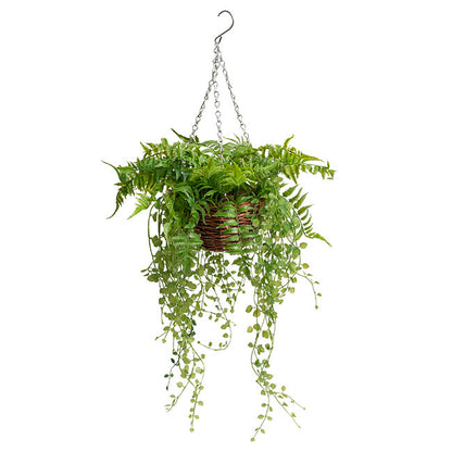 Mixed Fern Hanging Plant Basket Green (66cmH)