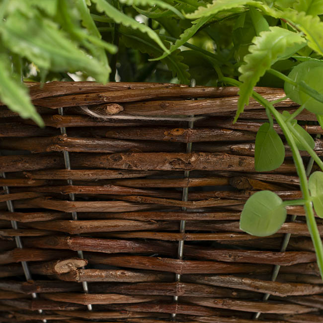 Mixed Fern Hanging Plant Basket Green (66cmH)