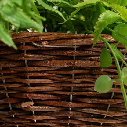 Mixed Fern Hanging Plant Basket Green (66cmH)