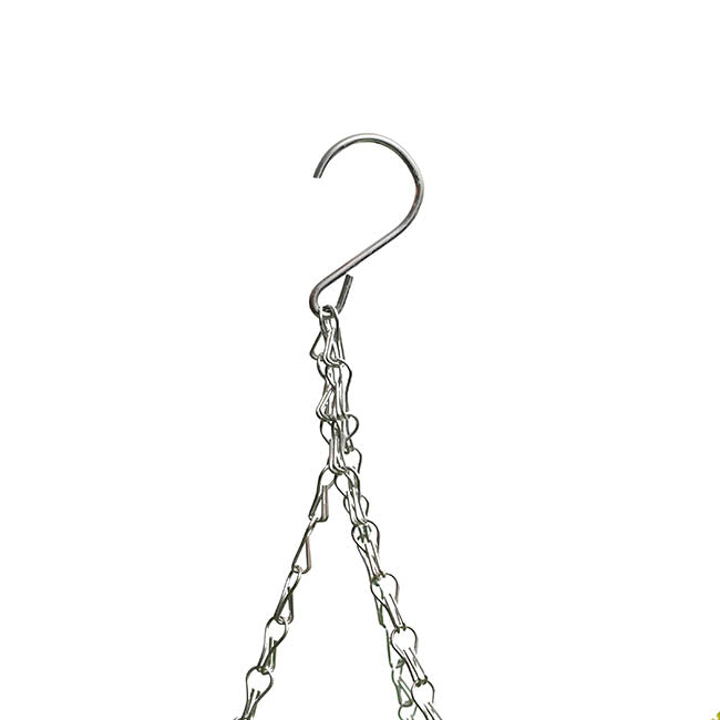 Mixed Fern Hanging Plant Basket Green (66cmH)