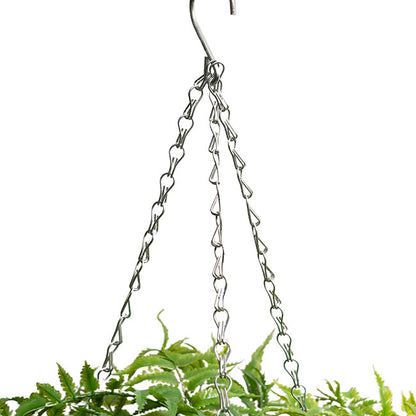 Mixed Fern Hanging Plant Basket Green (66cmH)