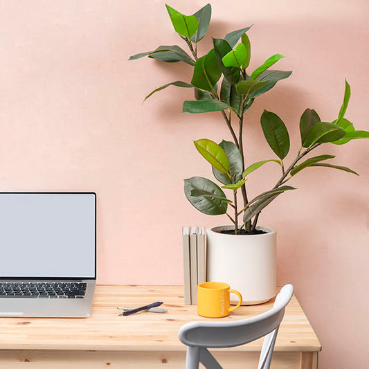 Real Touch Rubber Tree in White Pot Green (90cmH)