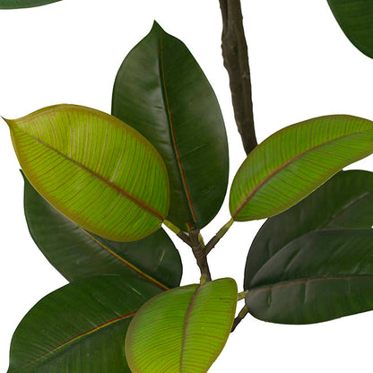 Real Touch Rubber Tree in White Pot Green (90cmH)