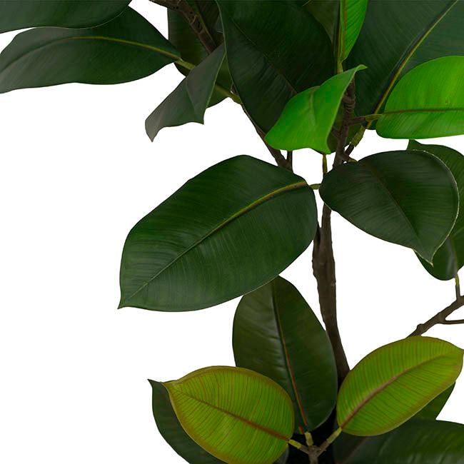 Real Touch Rubber Tree in White Pot Green (90cmH)