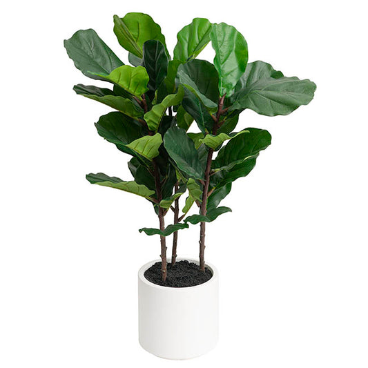 Real Touch Fiddleleaf Tree in White Pot Green (90cmH)