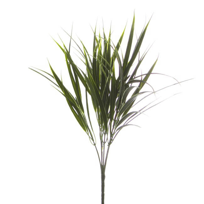Spear Grass Bunch Green (38cmH)