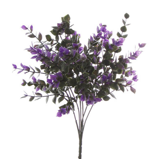 Eucalyptus Bunch Purple (30cmH)