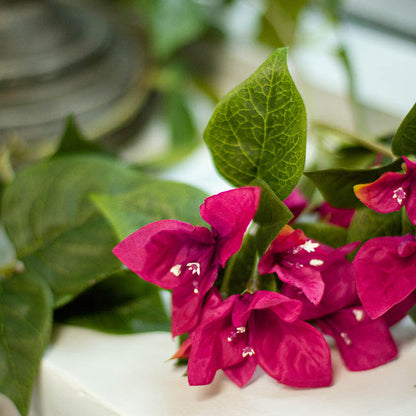 Bougainvillea Garland Fuchsia (200cm)