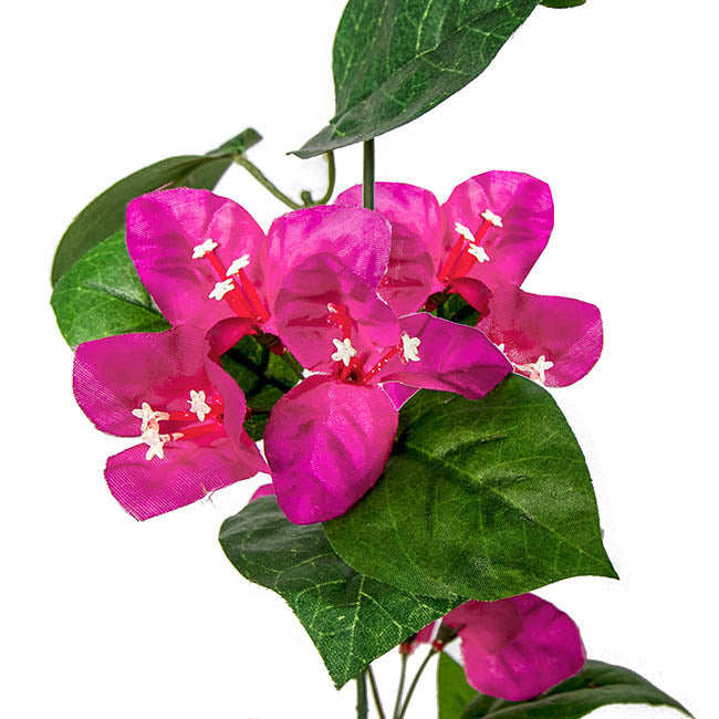 Bougainvillea Garland Fuchsia (200cm)