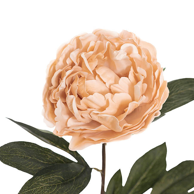 Real Touch Peony Stem Nude Beige (15cmDx68cmH)