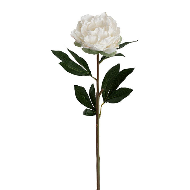 Real Touch Peony Stem Off White (15cmDx68cmH)
