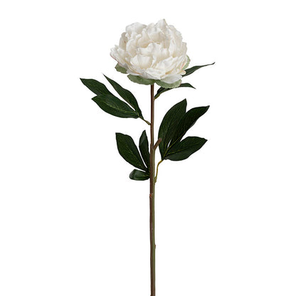 Real Touch Peony Stem Off White (15cmDx68cmH)