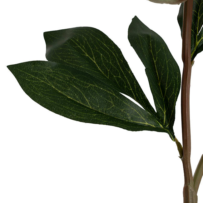 Real Touch Peony Stem Off White (15cmDx68cmH)