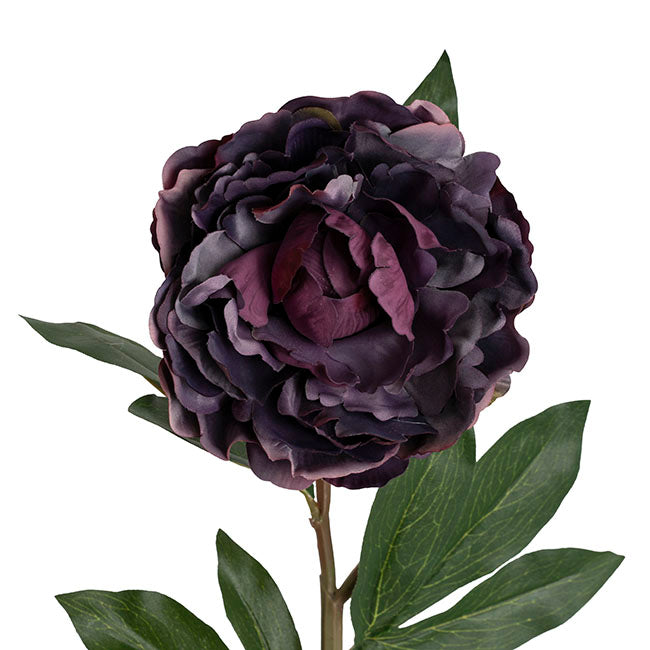 Real Touch Peony Stem Dark Purple (15cmDx68cmH)