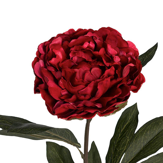 Real Touch Peony Stem Dark Red (15cmDx68cmH)
