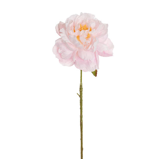 Single Stem Peony Soft Pink (13cmDx67cmH)
