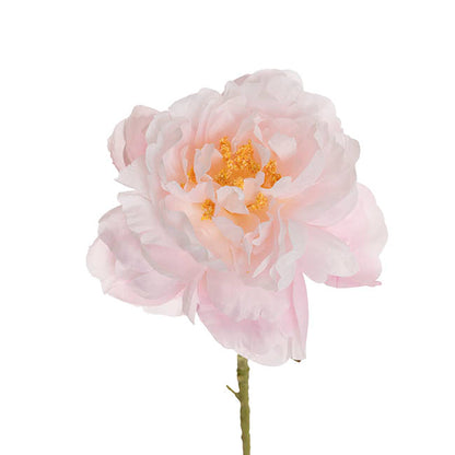 Single Stem Peony Soft Pink (13cmDx67cmH)