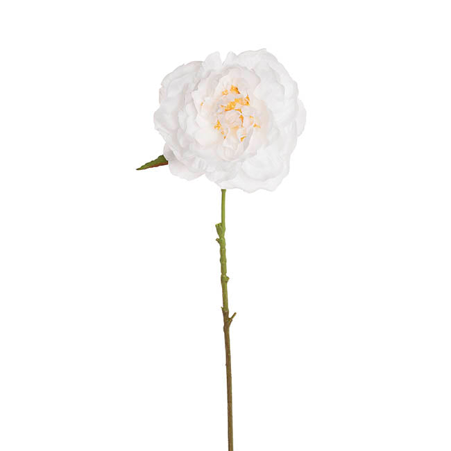 Single Stem Peony White (13cmDx67cmH)