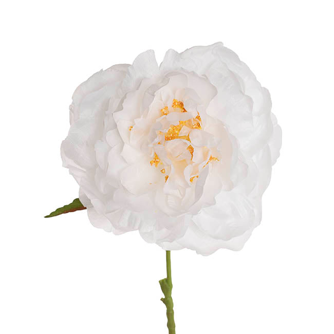Single Stem Peony White (13cmDx67cmH)