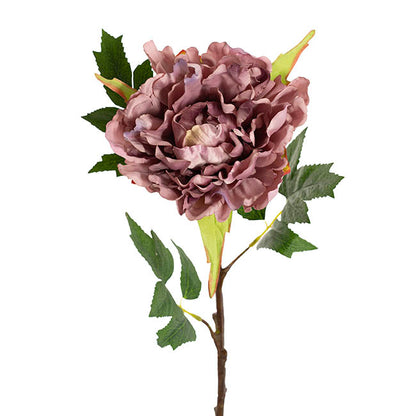 Duchess Peony Stem Mauve Purple (15cmDx65cmH)