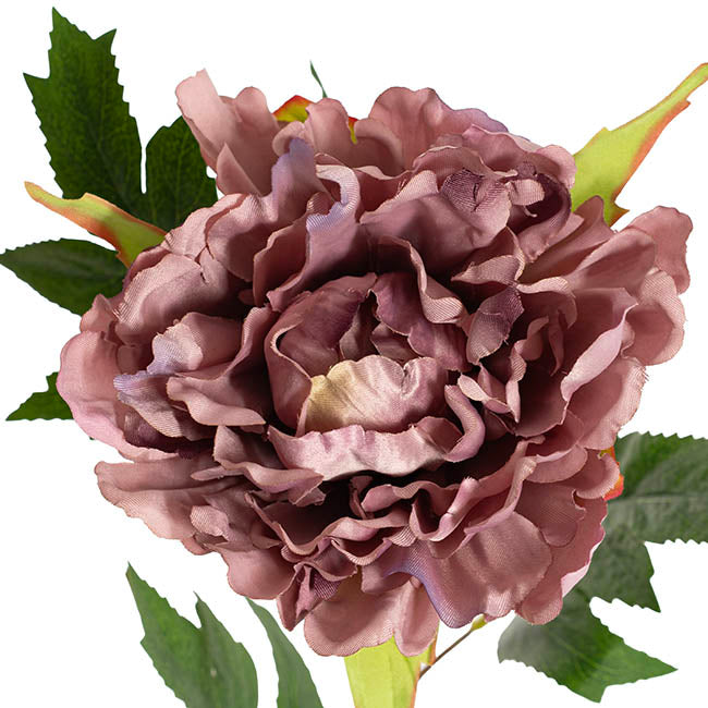 Duchess Peony Stem Mauve Purple (15cmDx65cmH)