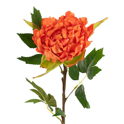 Duchess Peony Stem Orange Red (15cmDx65cmH)
