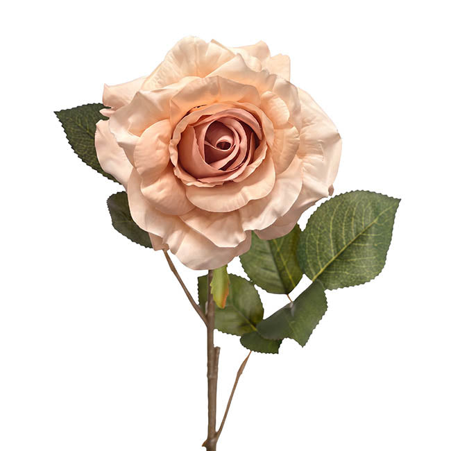 Alba Rose Long Stem Full Bloom Powder Pink (15cmDx85cmH)