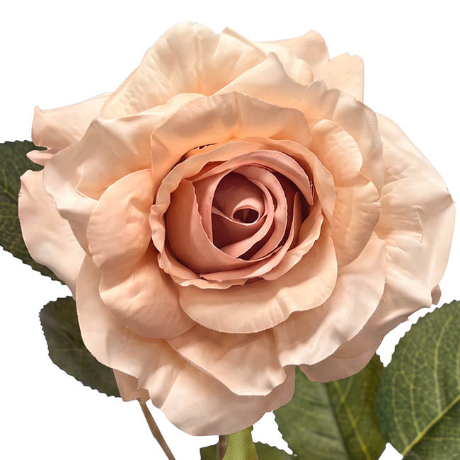 Alba Rose Long Stem Full Bloom Powder Pink (15cmDx85cmH)